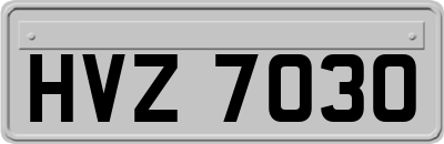 HVZ7030
