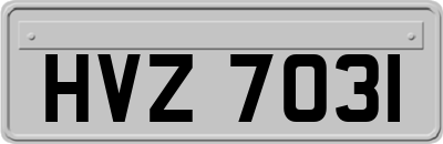 HVZ7031