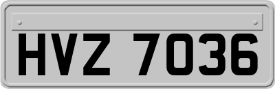 HVZ7036