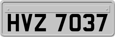 HVZ7037