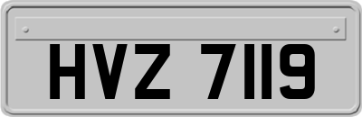 HVZ7119