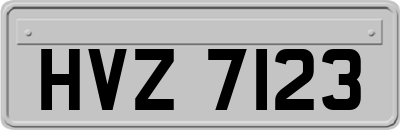 HVZ7123