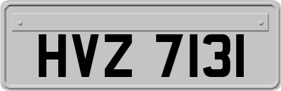 HVZ7131