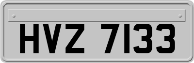 HVZ7133