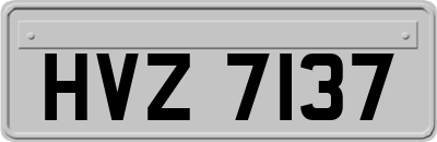 HVZ7137