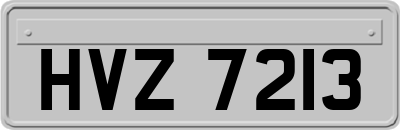 HVZ7213