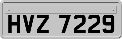 HVZ7229