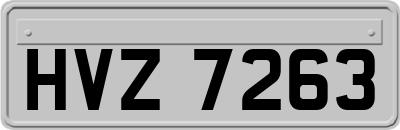 HVZ7263