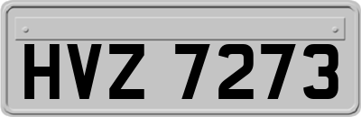 HVZ7273