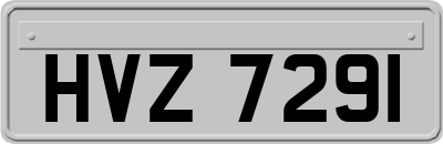 HVZ7291