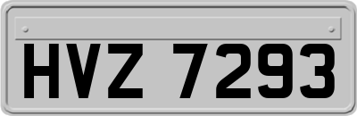 HVZ7293