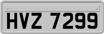 HVZ7299