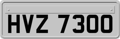 HVZ7300