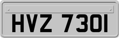 HVZ7301