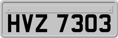 HVZ7303