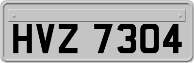HVZ7304