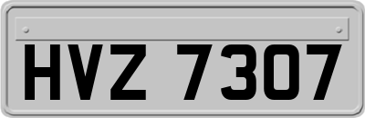 HVZ7307