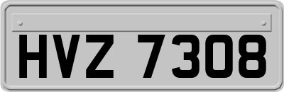 HVZ7308
