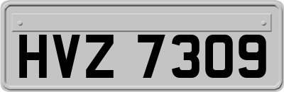 HVZ7309