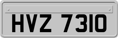 HVZ7310