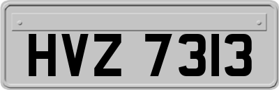 HVZ7313