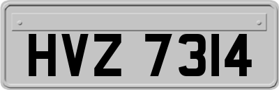 HVZ7314