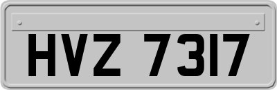 HVZ7317