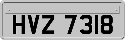 HVZ7318