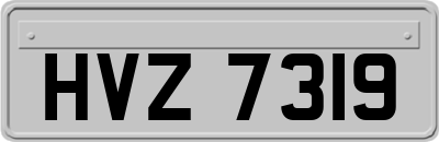 HVZ7319