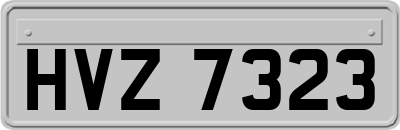 HVZ7323