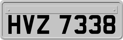 HVZ7338