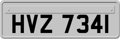 HVZ7341