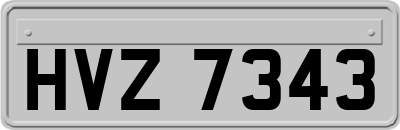 HVZ7343
