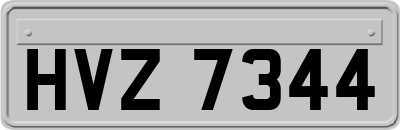 HVZ7344