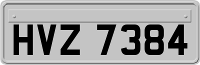HVZ7384
