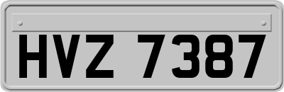 HVZ7387