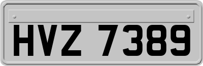 HVZ7389