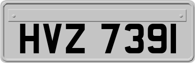 HVZ7391