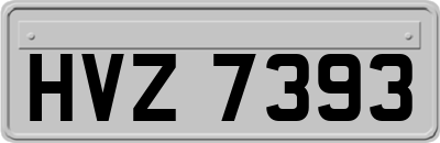 HVZ7393