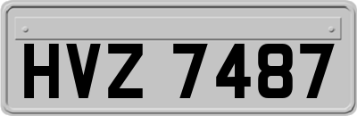 HVZ7487