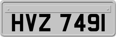 HVZ7491