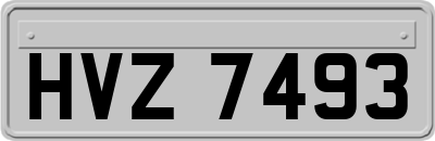 HVZ7493