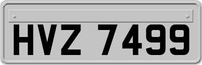 HVZ7499