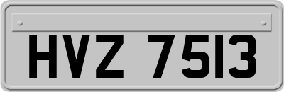HVZ7513