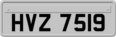 HVZ7519