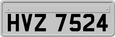 HVZ7524