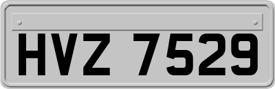 HVZ7529