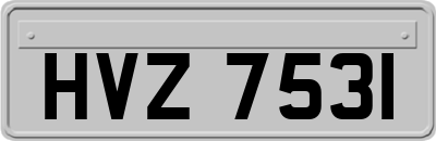 HVZ7531