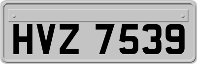HVZ7539