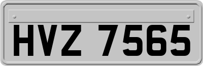 HVZ7565
